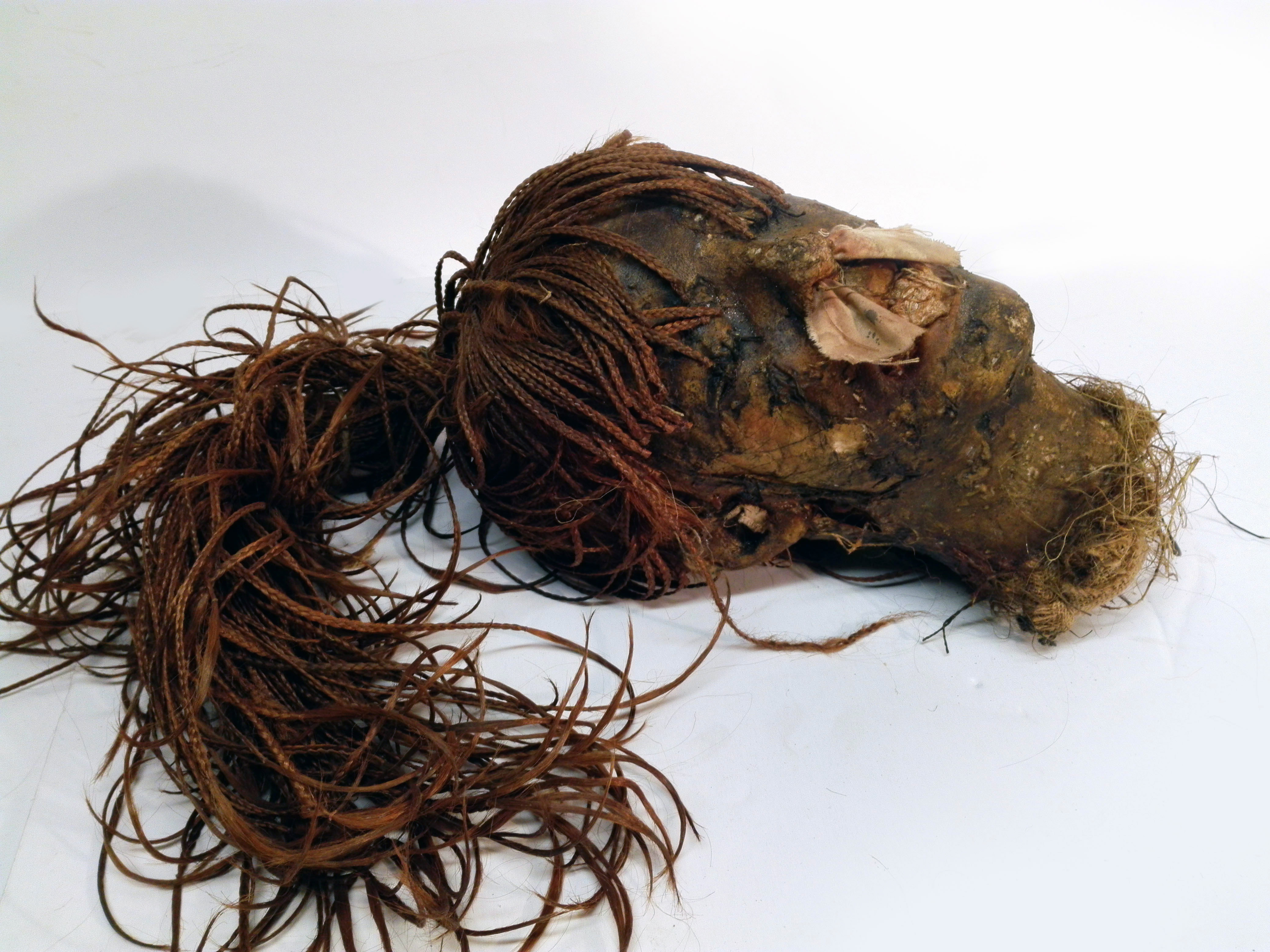 cabeza no1 mujer rastas momificada replica 30-43x17x22 1u